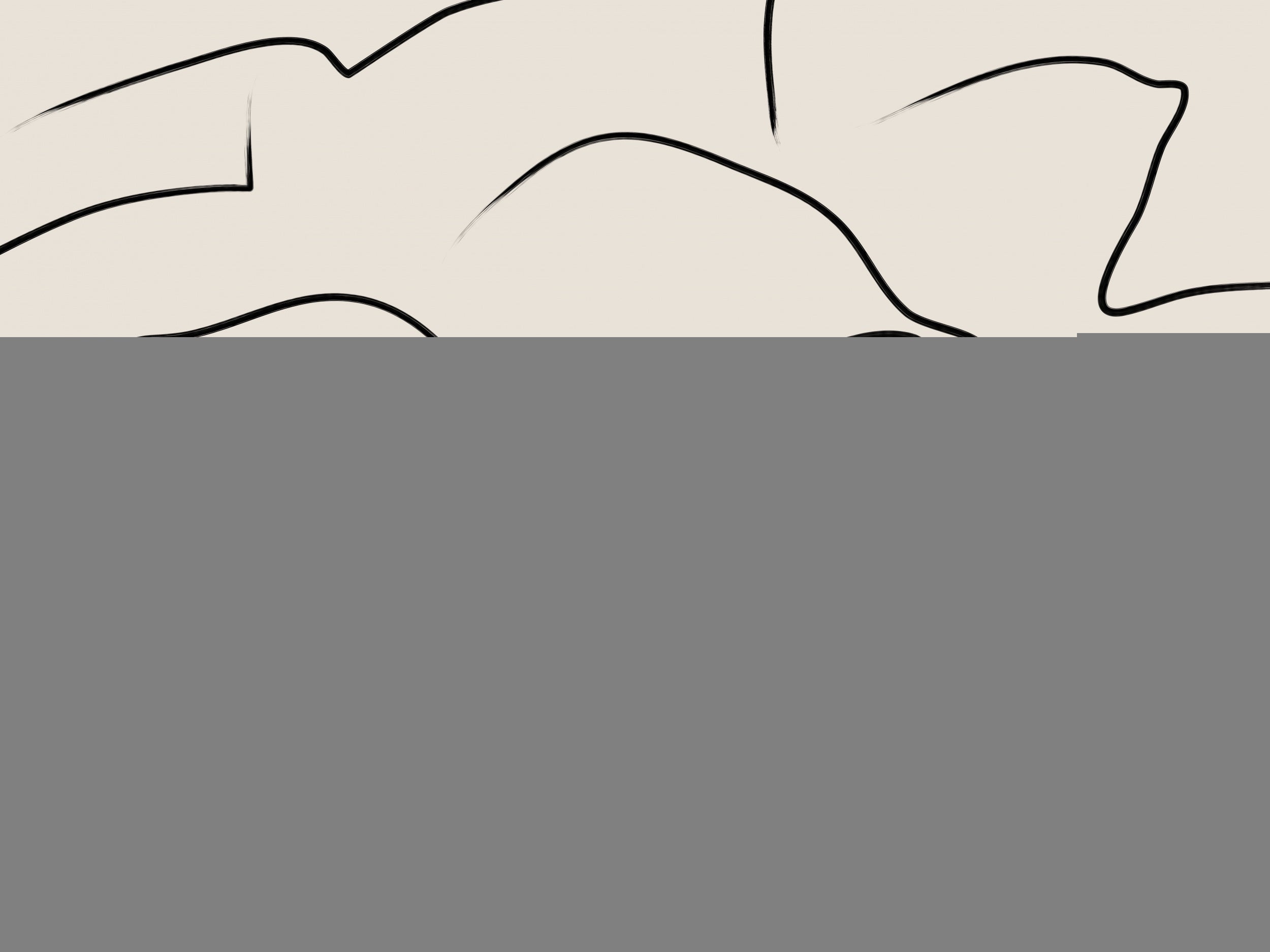 Minimalist Black Curves