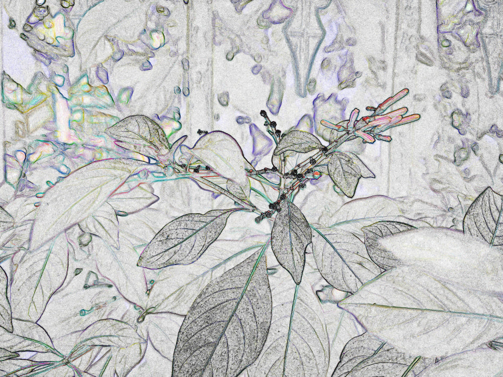 Whispering Leaves