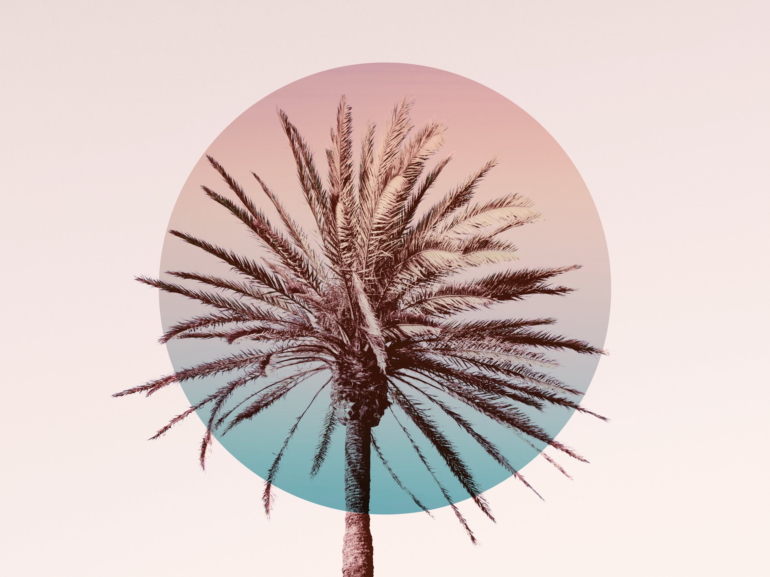 Beach Vibes I