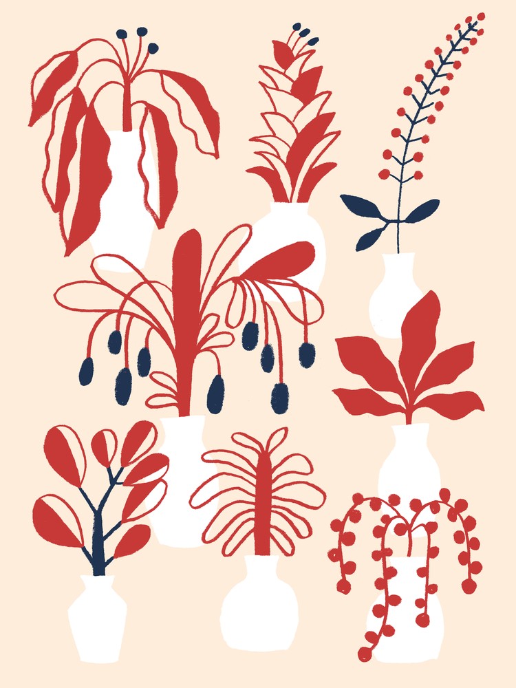 Indoor Garden Red And Blue