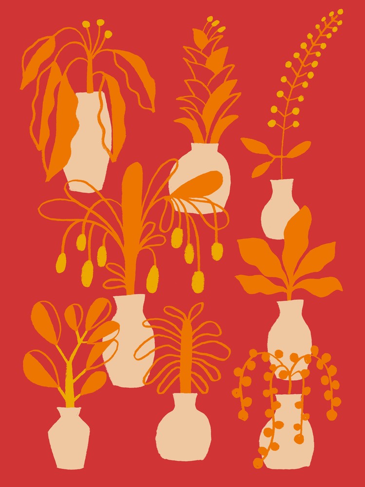 Indoor Garden Red