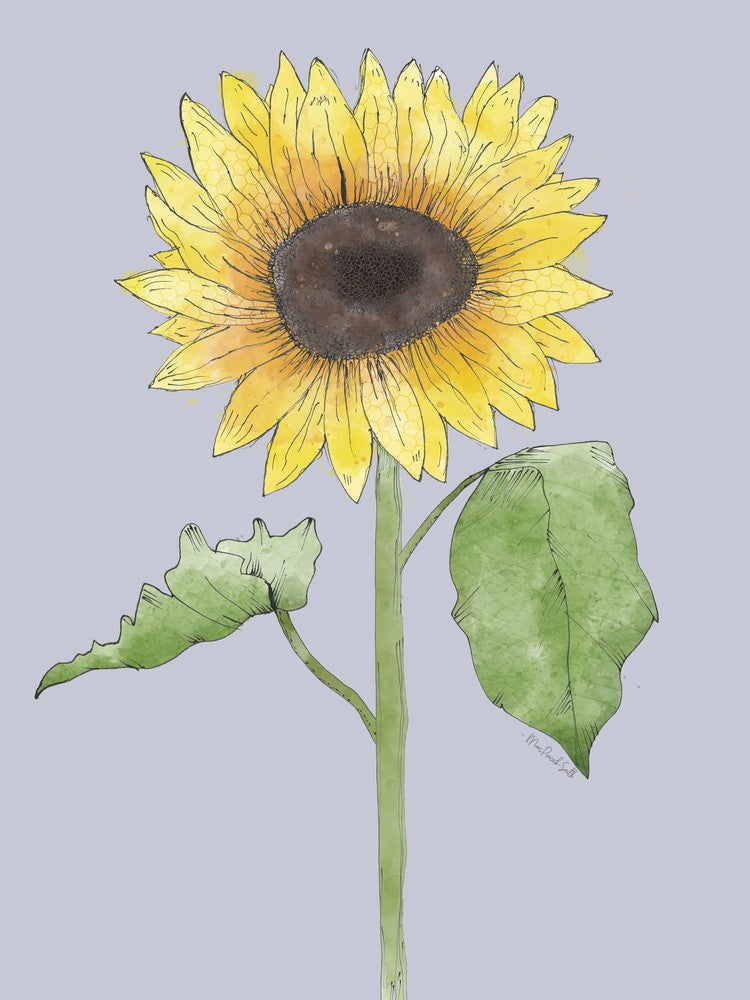 Its A Sunflower Kind Of Day