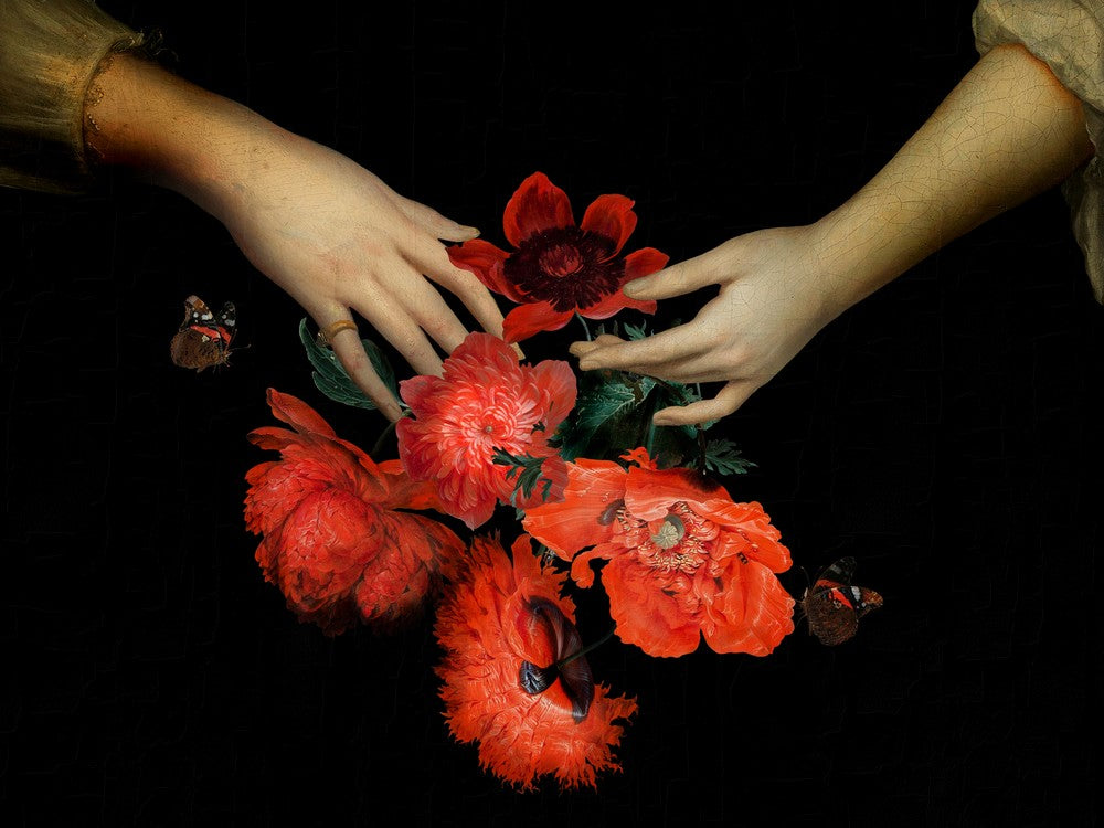 Jan Davidsz De Heem Hands Holding Red Poppies Night 1