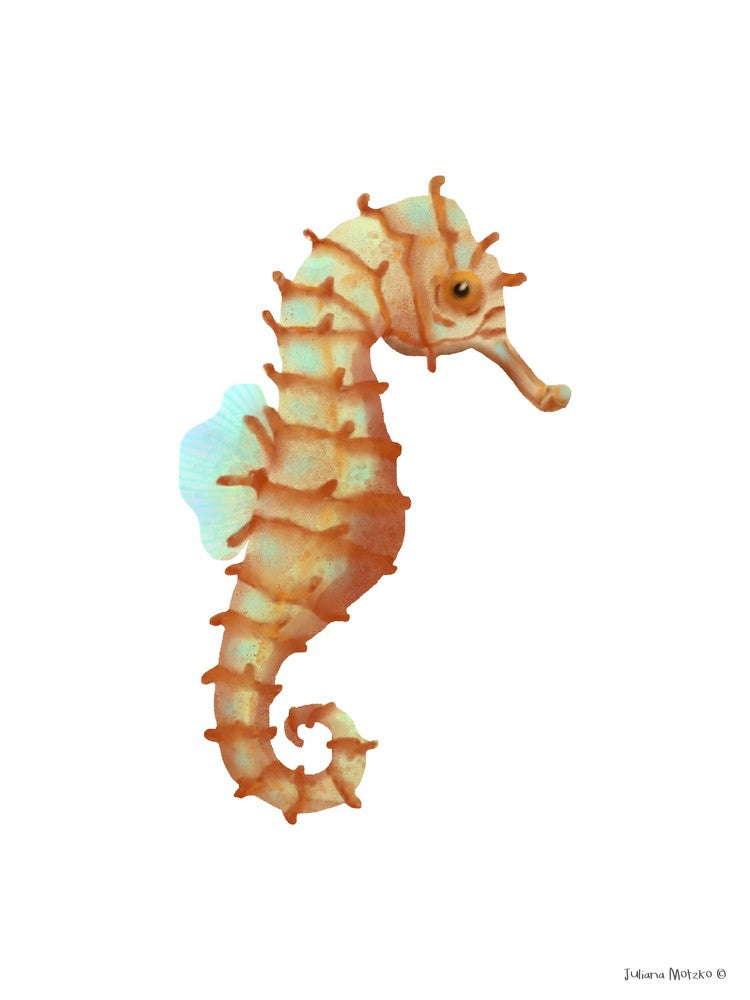 Japanese Seahorse