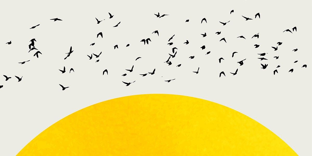 Kubistika Banner Image