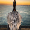 Light and Magic Photographic Art