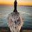 Light and Magic Photographic Art