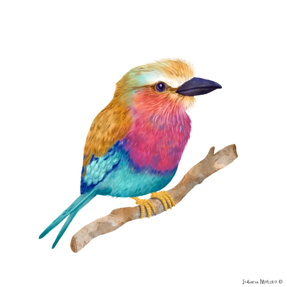 Lilac Breasted Roller
