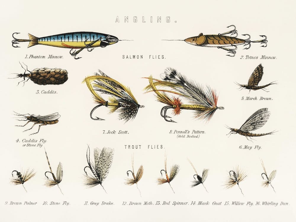 Angling Baits