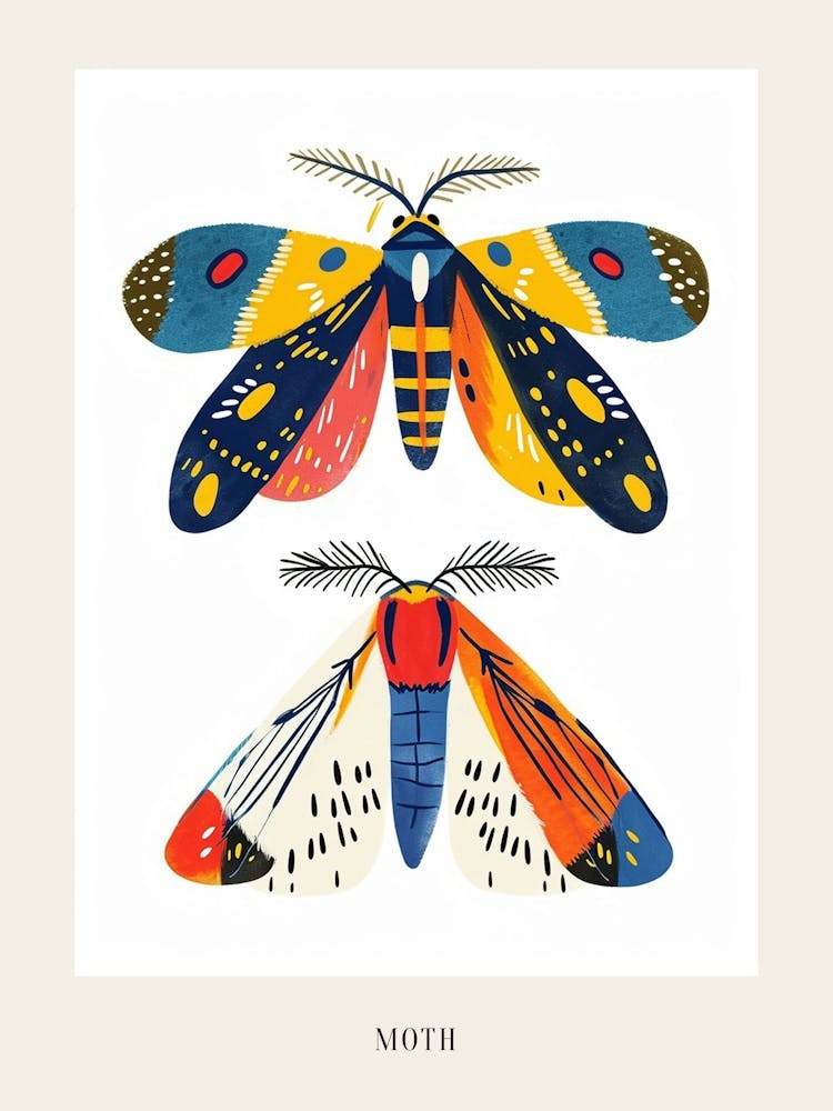 Colourful Insect Illustration Moth 54 Poster