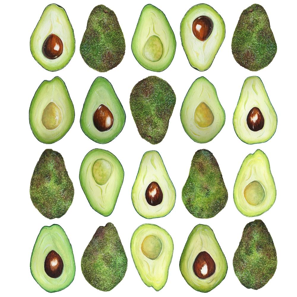 Repeat Pattern Avocado Square