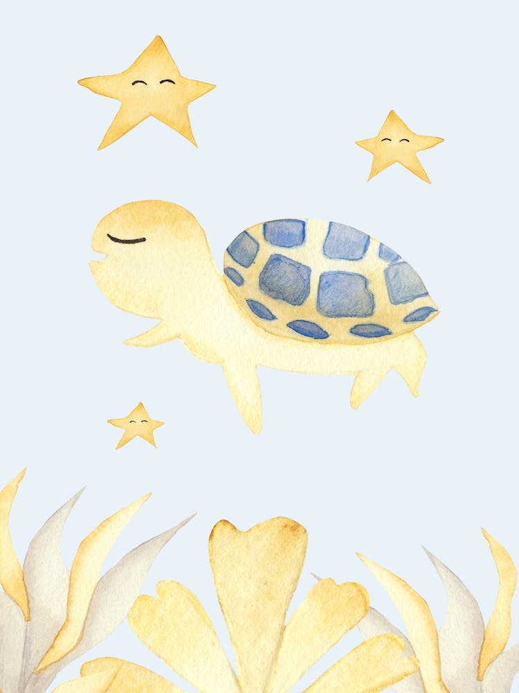 Cute Turtle