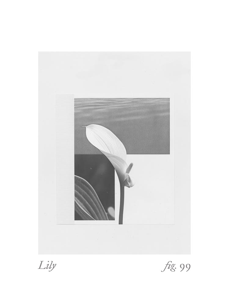 Lilien Botanische Collage 1
