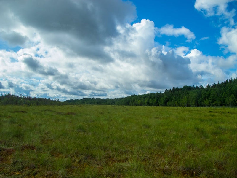Cloudy Sky 1