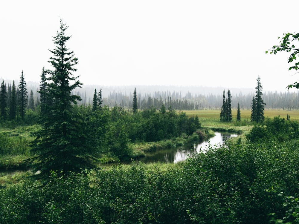 Alaska Interior
