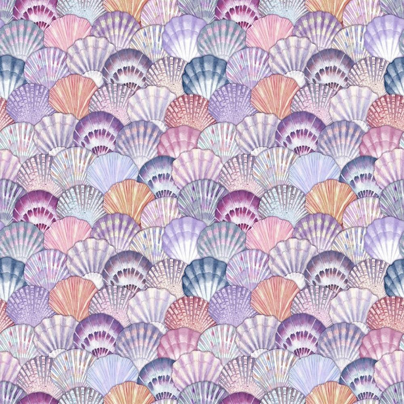 Seashells Beautiful Marine Colors