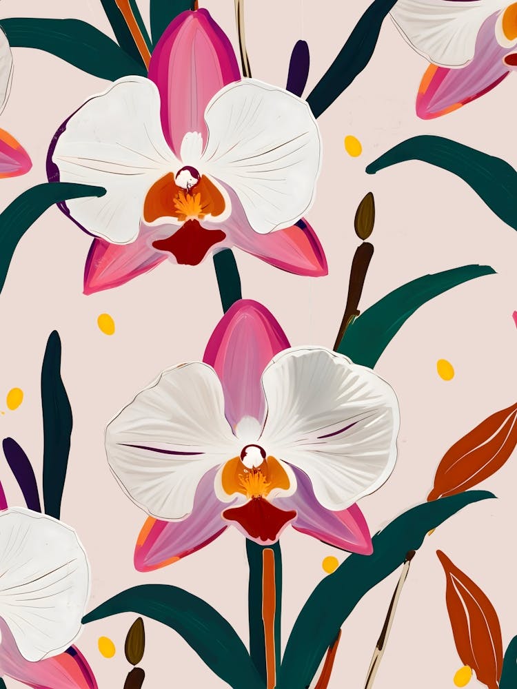 Rosa Orchidee