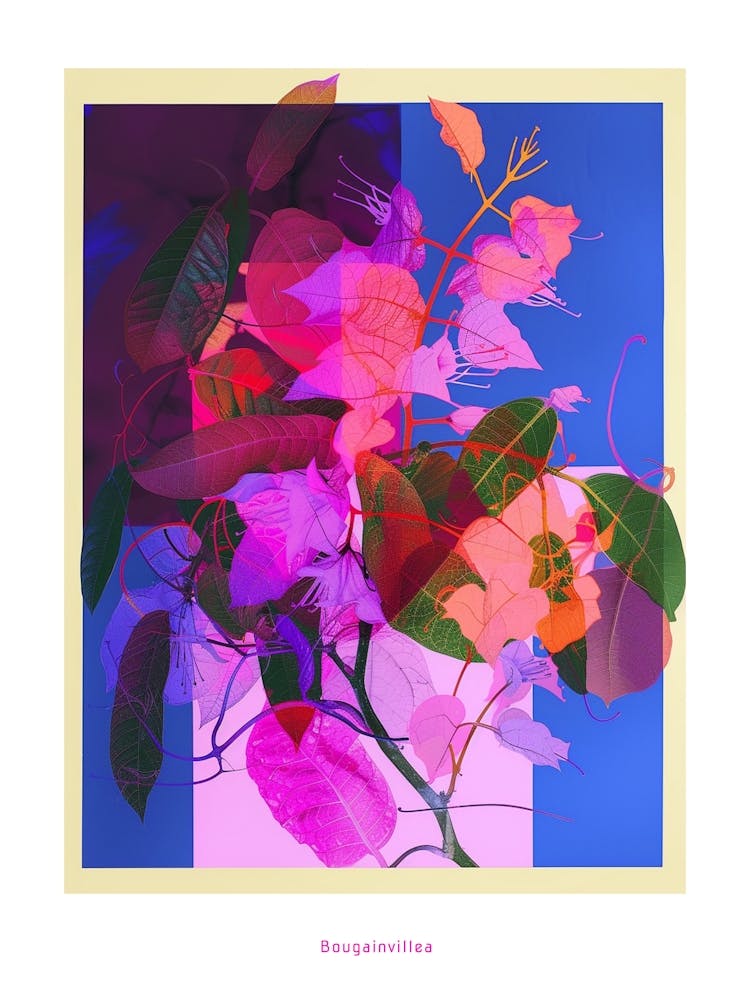 Bougainvillea 2 Neon Flower Collage Poster