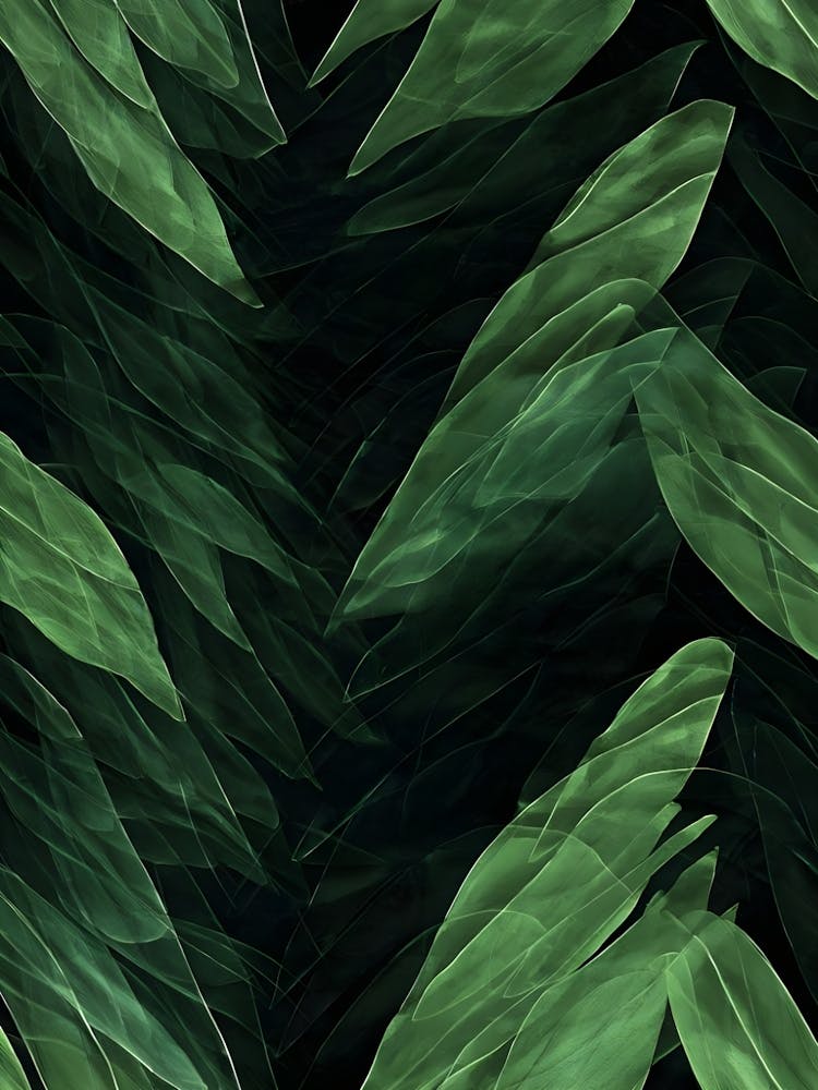 Veiled Secrets: An Exploration of the Hidden Depths of the Rainforest