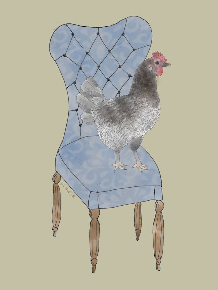 Miss Hen Chicken On A Chair