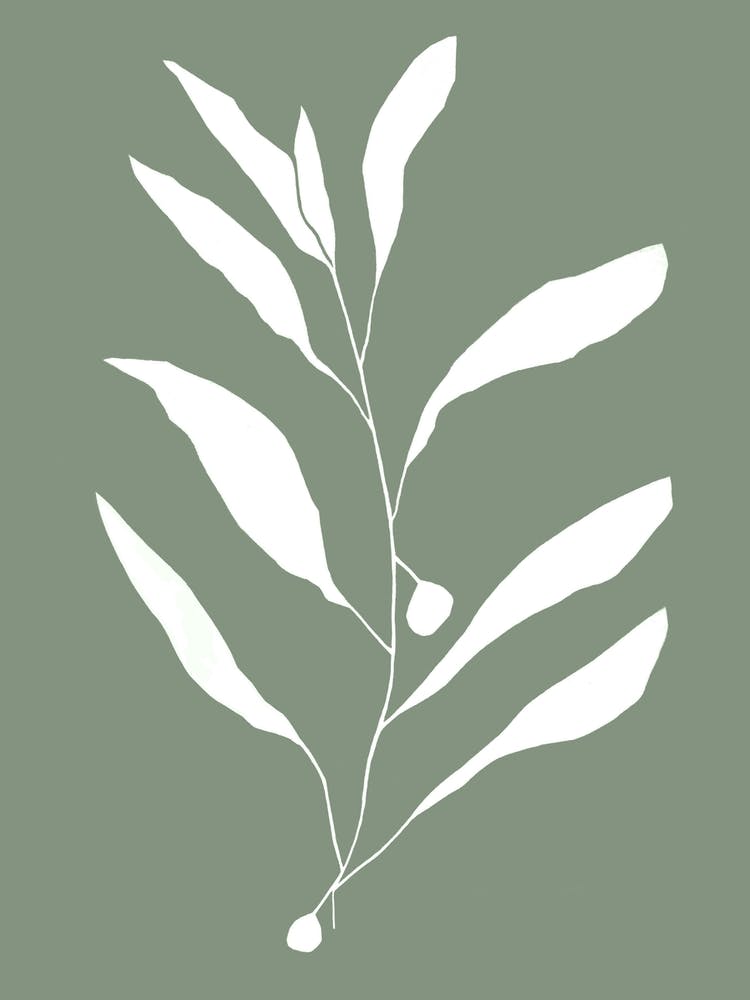 Sage