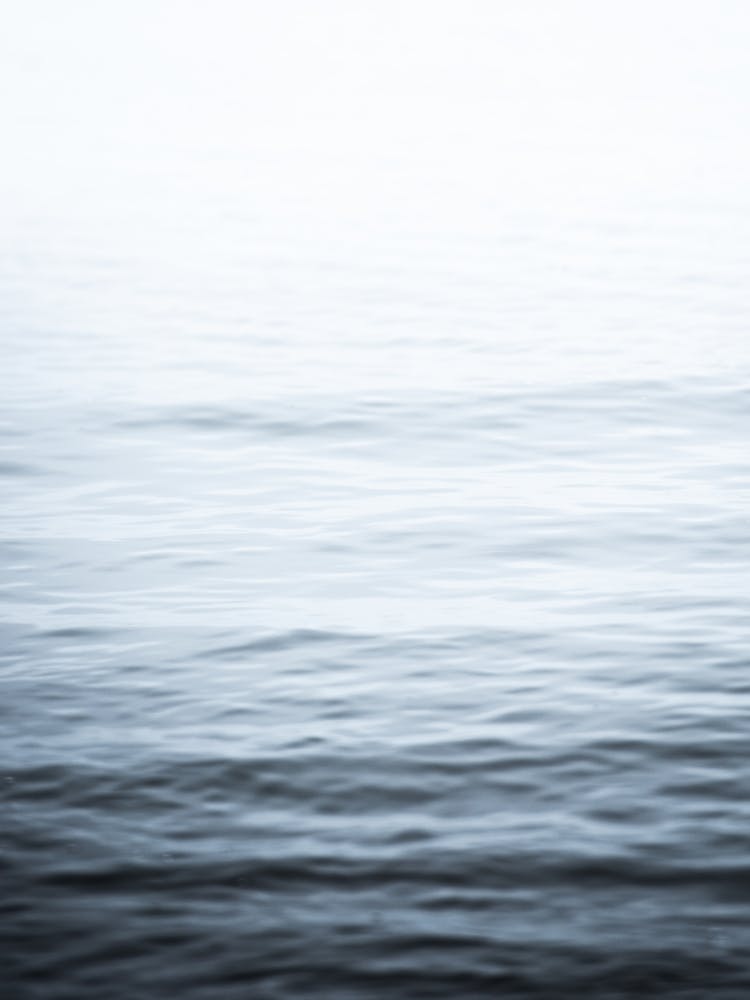 Ocean Melody