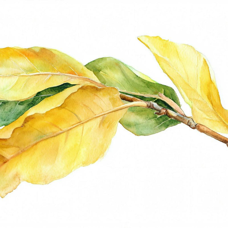 Autumn Leaves Watercolor Painting 2