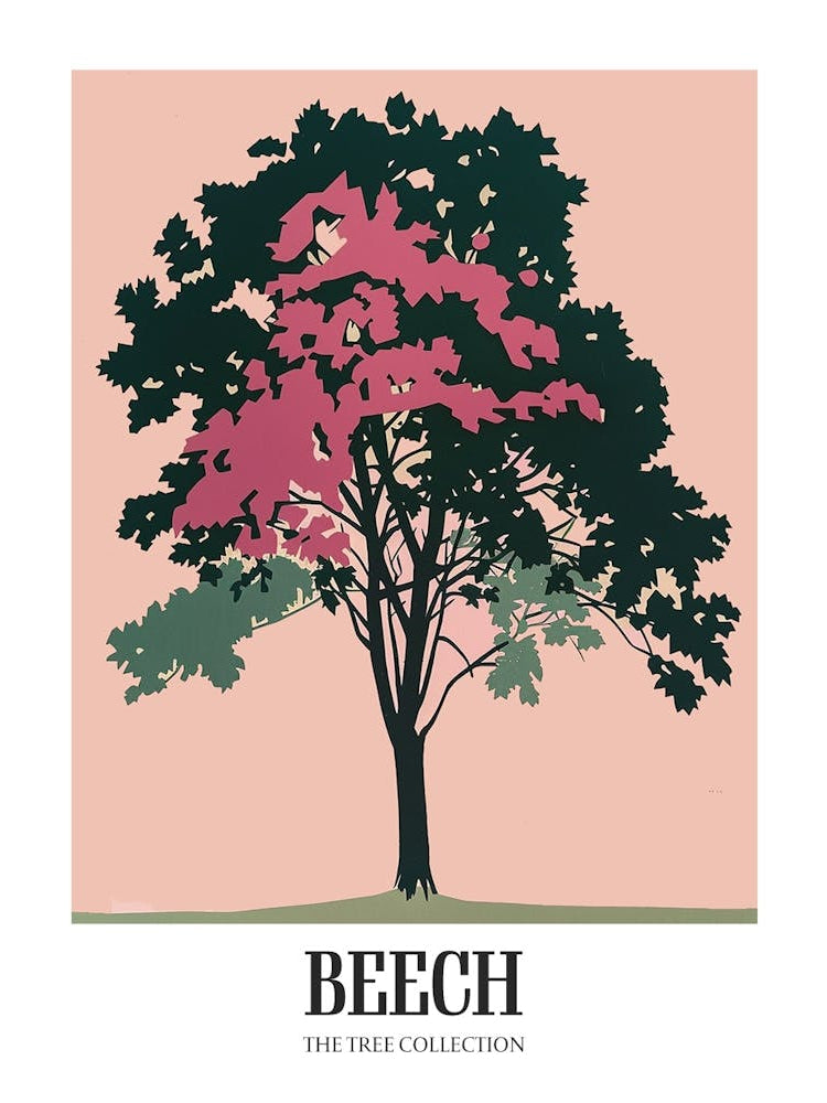 Beech Tree Colourful Illustration 4 Poster