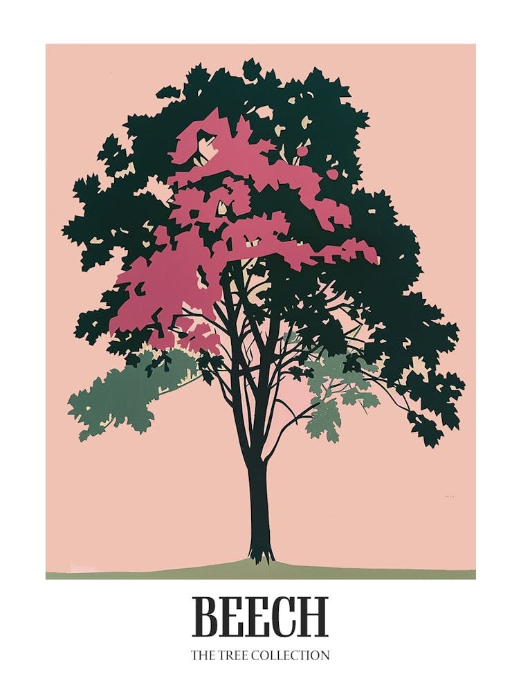 Beech Tree Colourful Illustration 4 Poster