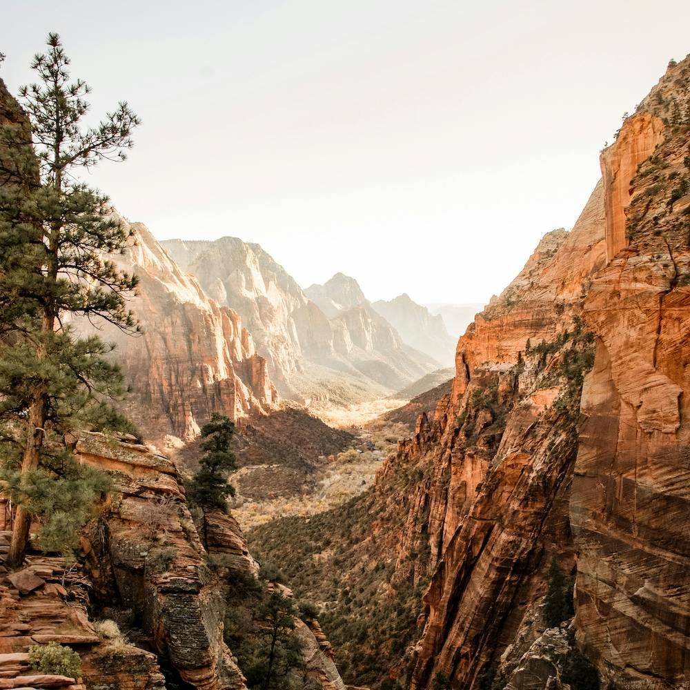 Zion Scenery