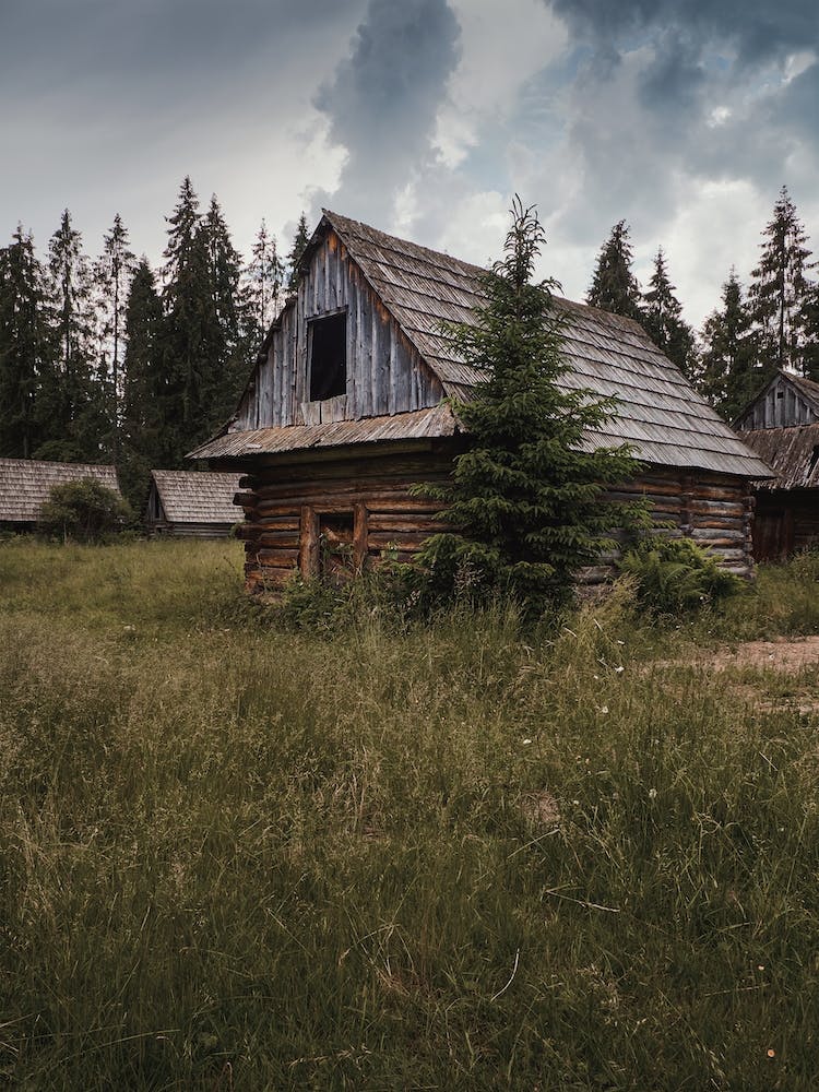 Abandoned Log Cabin