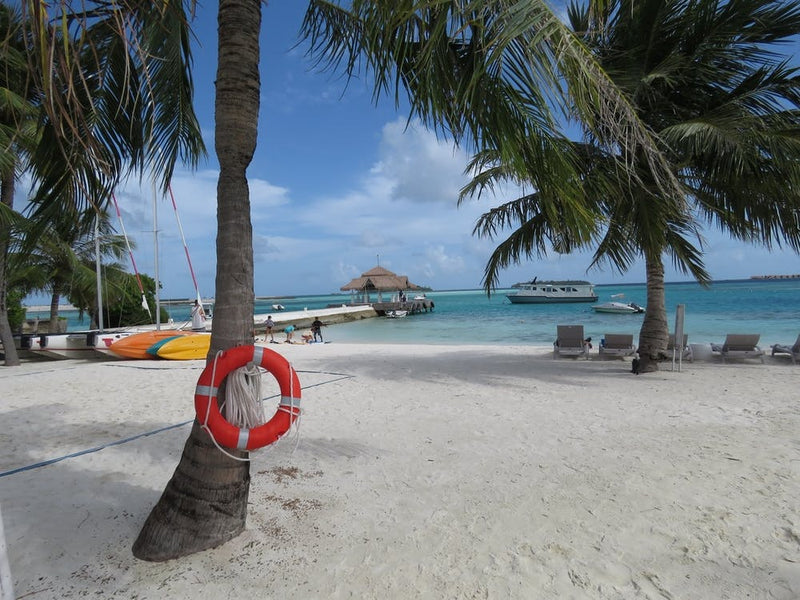 Beach Scene With Palm Trees