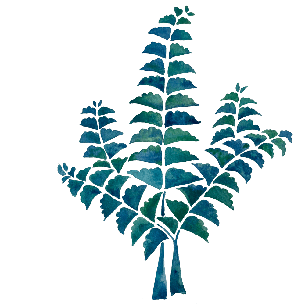 Hand Painted Watercolour Ferns