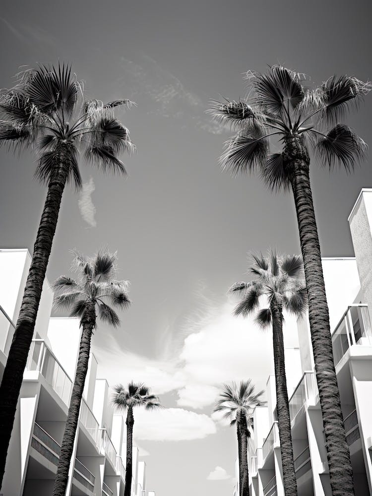 Marbella, Spain, Black And White Photography 3