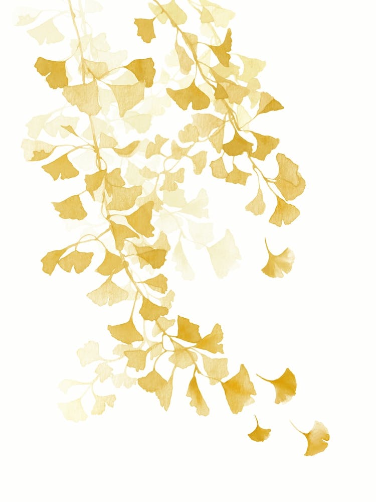 Yellow Gingko