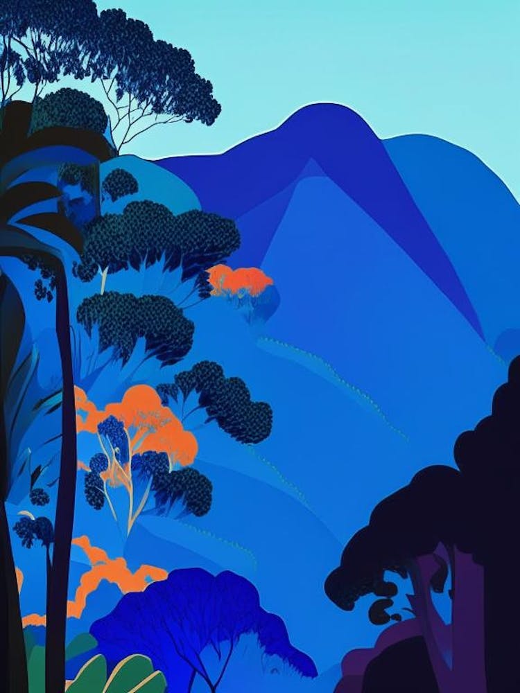 Blue Mountains National Park Australia Pop Matisse