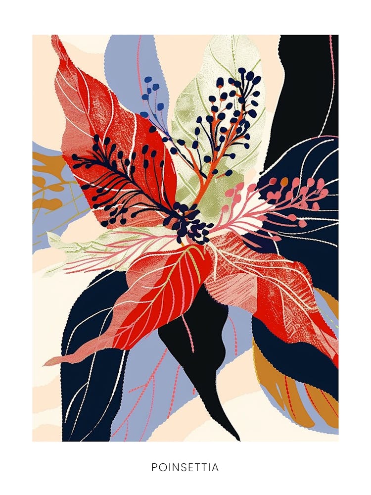 Colourful Flower Illustration Poster Poinsettia 2