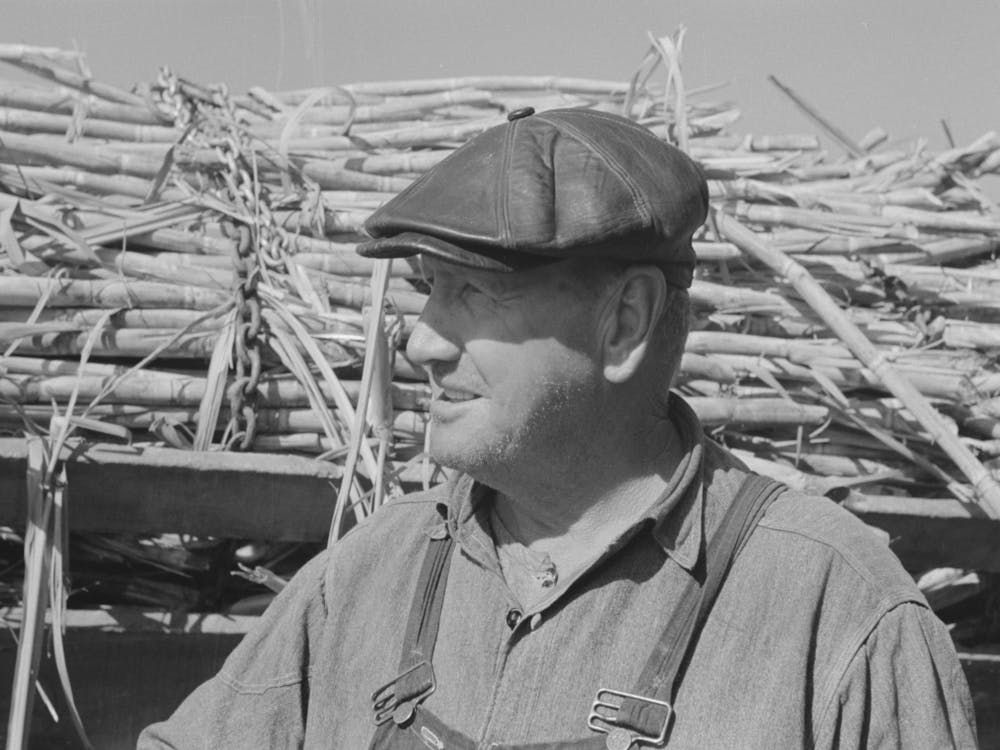 Cultivateur de Canne à Sucre, Delcambre, Louisiane Par Russell Lee