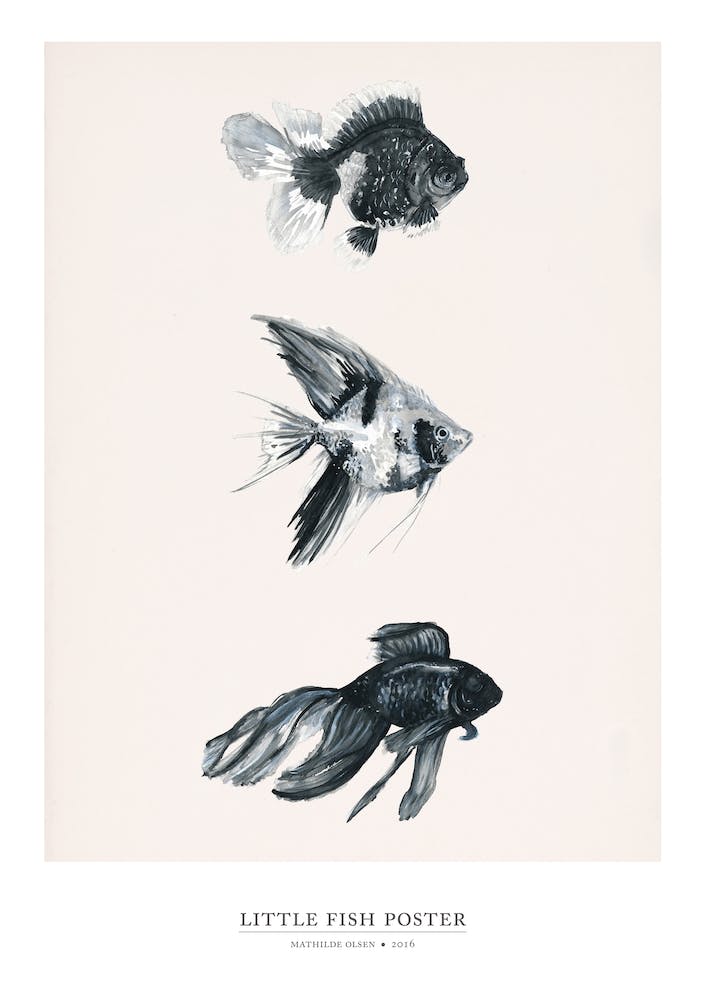 Little Fish Poster