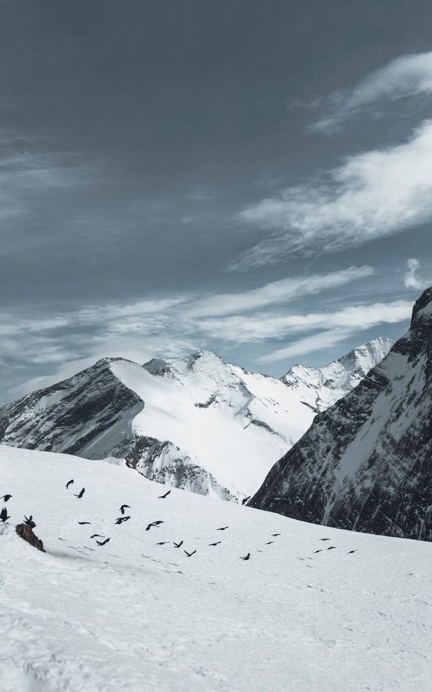 Snow On The Austrian Alps Ii