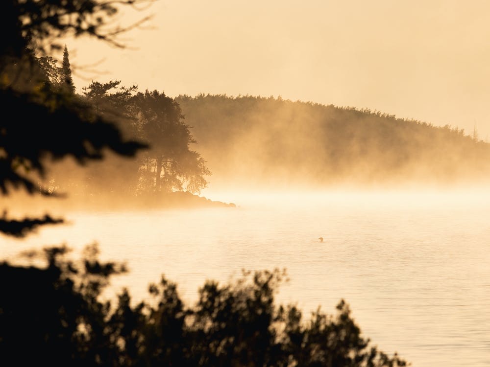Plongeon dans la brume matinale sur un lac dans les Northwoods du Minnesota – Gunflint Lake Sunrise Morning Boundary Waters Canoe Area Minnesota Bwca