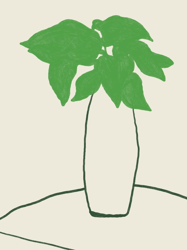 Plant In A Vase