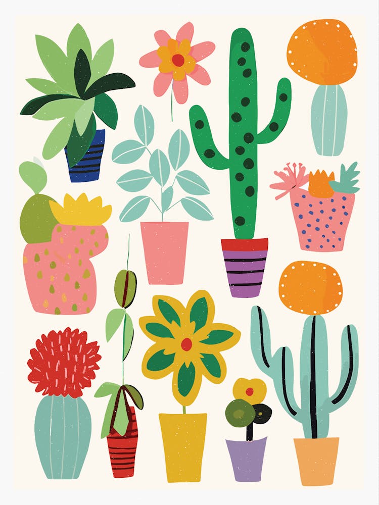 Cactus en Pots