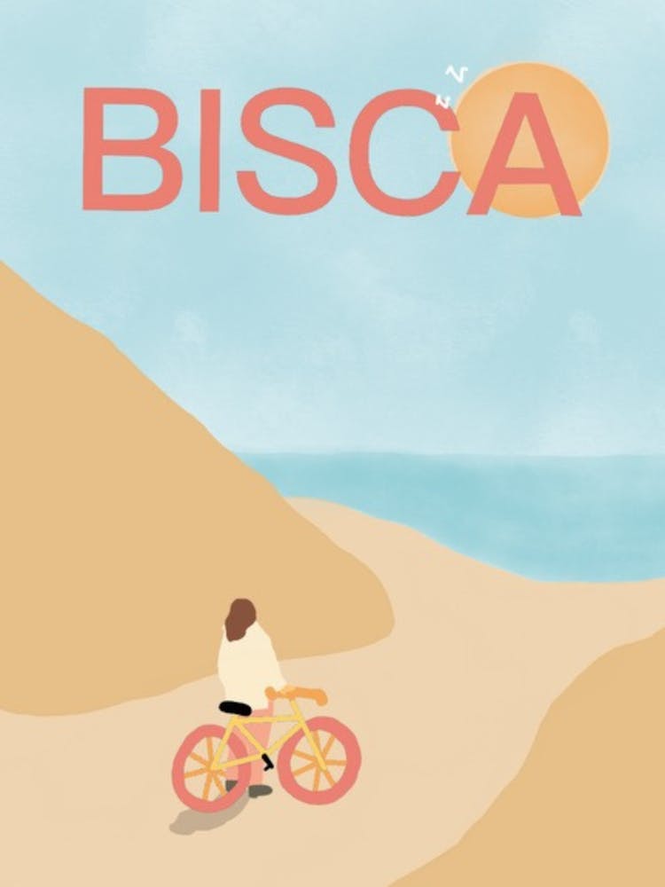 Biscarrosse, plage, summer