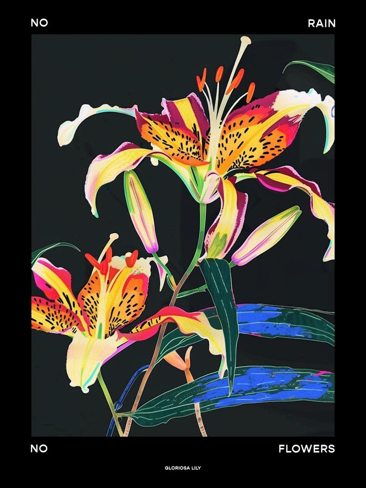 Pas de pluie, pas de fleurs Lys Gloriosa 2 - Affiche