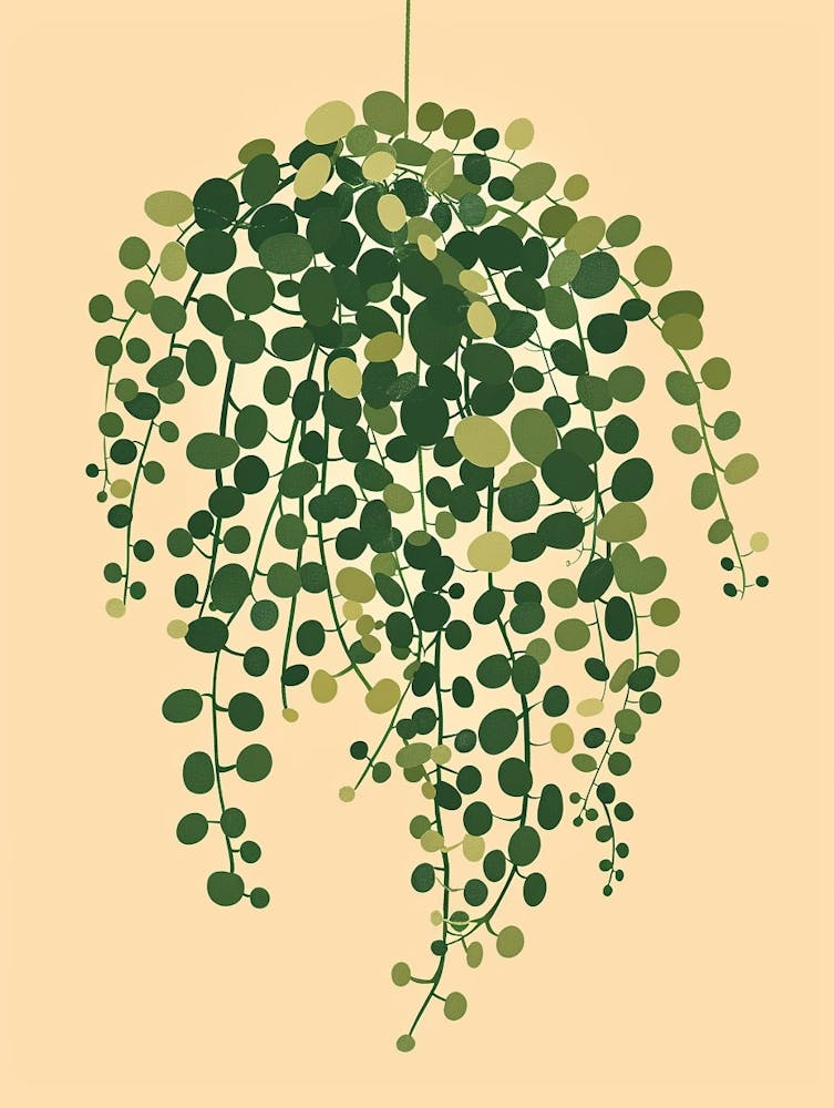 String Of Pearls Plant Minimalist Illustration 1