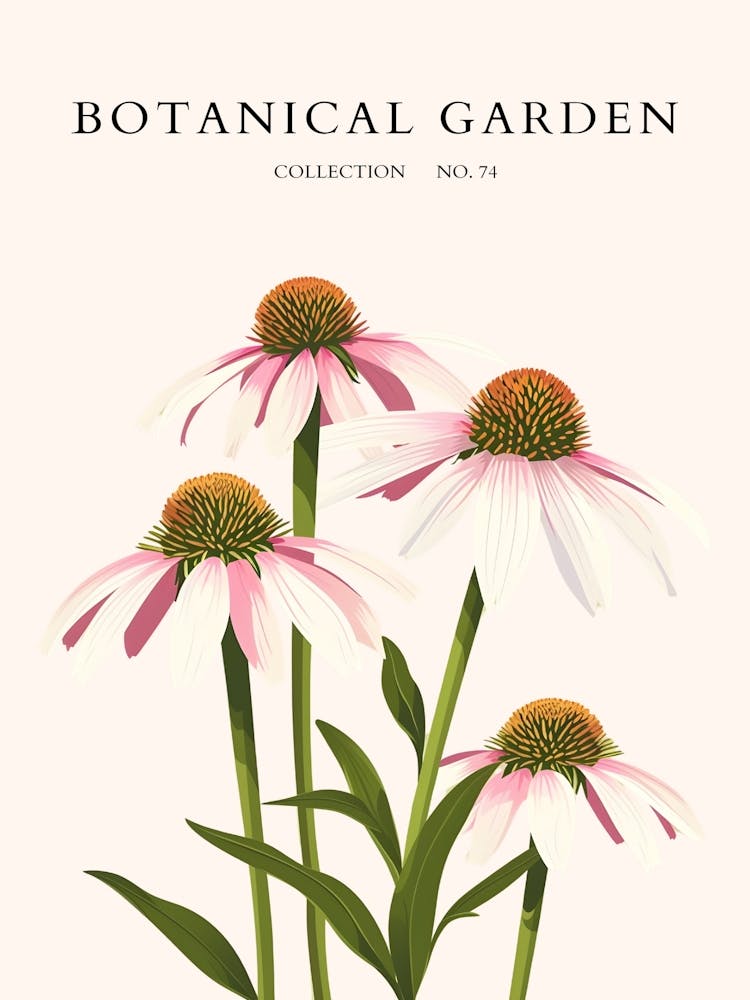 Botanical Garden 40