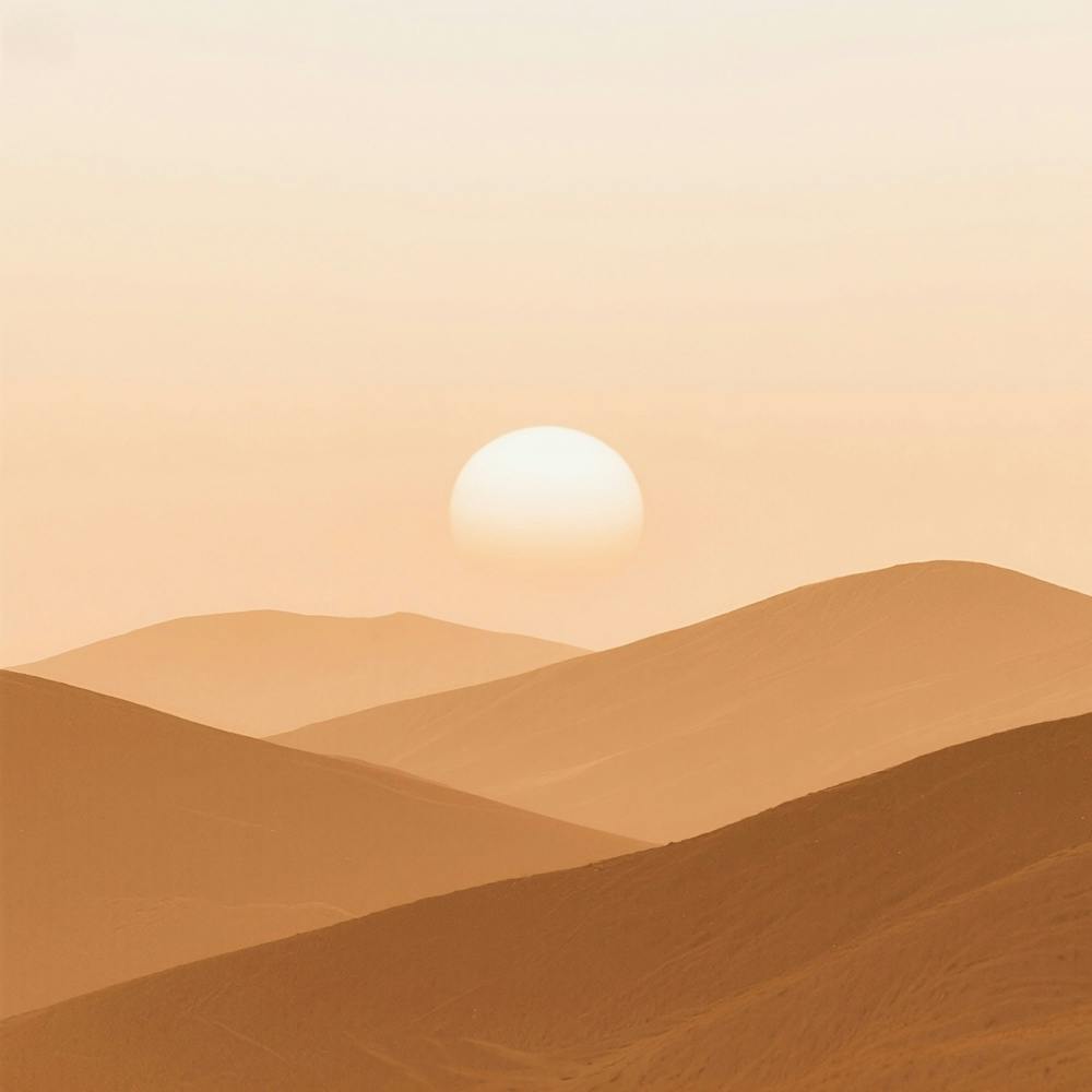 Sunset In The Desert 10