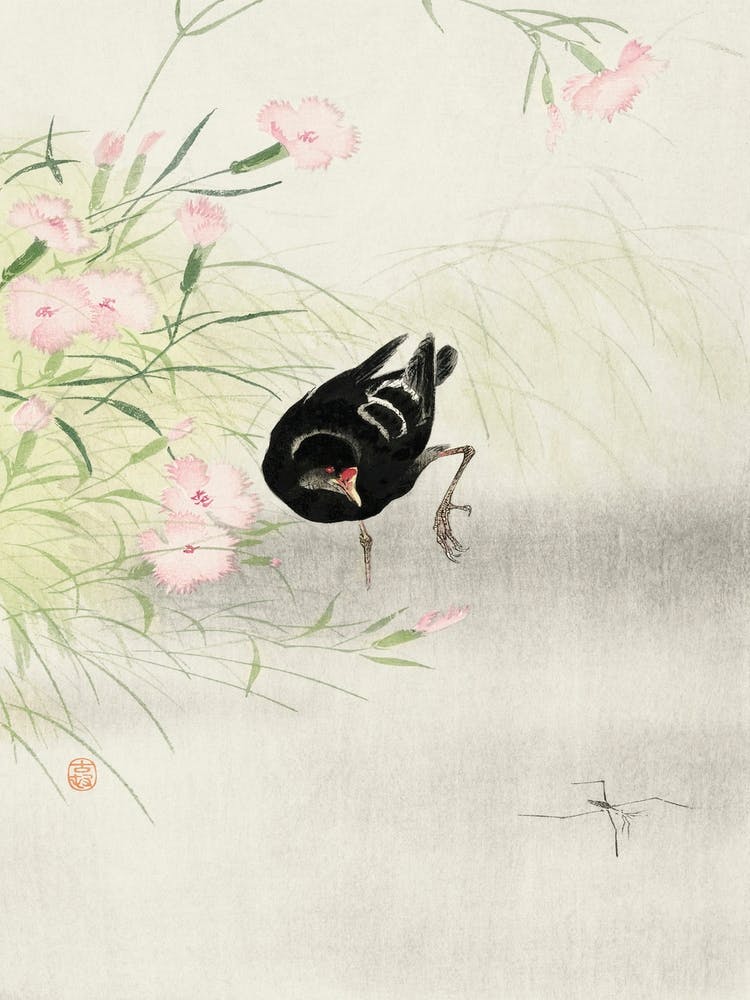 Moorhen At Flowering Plant (1900 1936), Ohara Koson