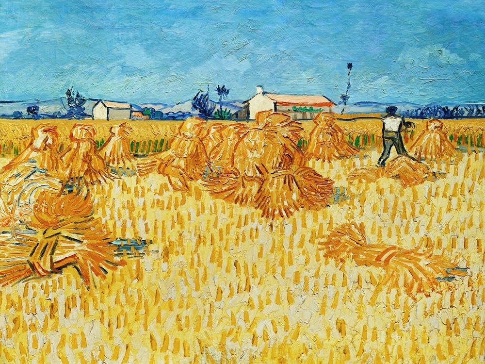 Harvest In Provence (1888), Vincent Van Gogh